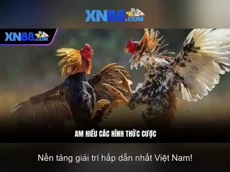 💎xem bóng đá trực tiếp tại kèo nhà cái💎
