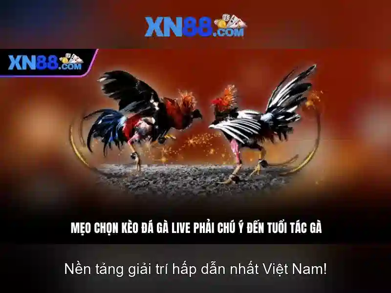 💎cá cược truyện convert💎
