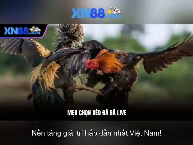 💎xn88 slot machine singapore💎