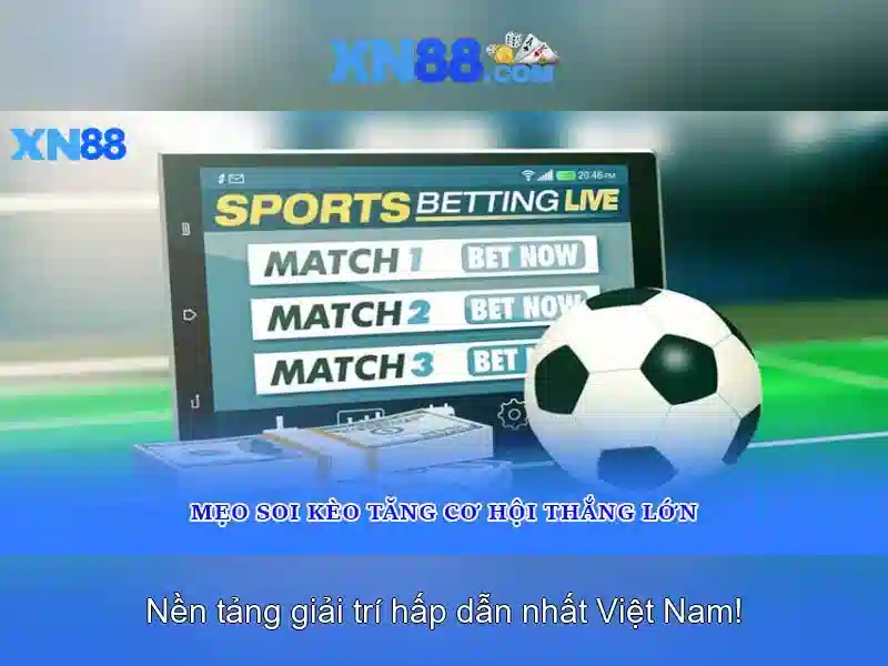 💎fortune tree xn88💎