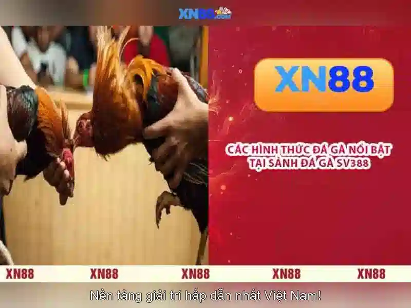 💎họ và tên song thân của bác hồ?💎