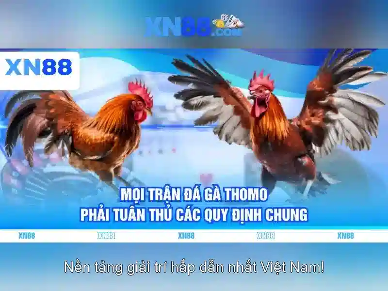 💎cá cược bóng đá trực tuyến dongtamlong💎