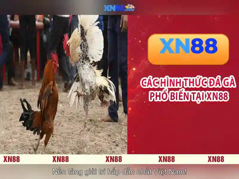 💎update top 10 nha cai uy tin💎