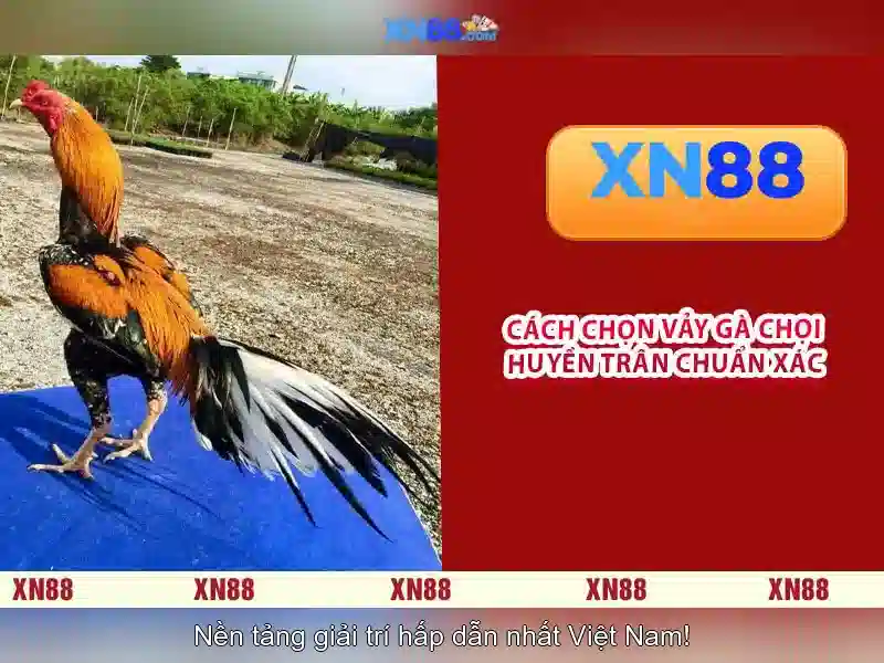 💎plinko rush slots💎