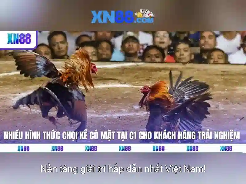 💎cá cược tft💎