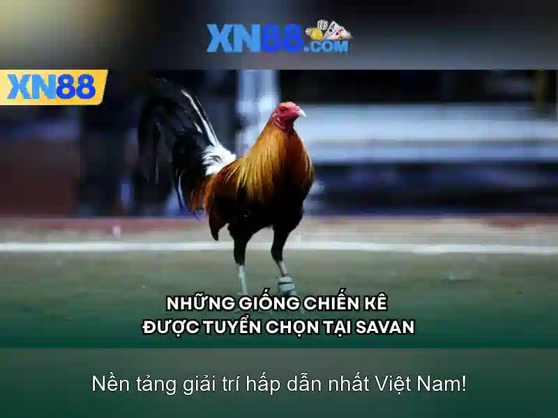 💎great eagle slot machine💎