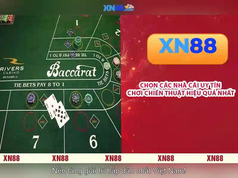  điều kiện - XN88