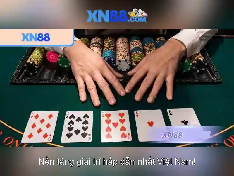 💎xn88 dog💎