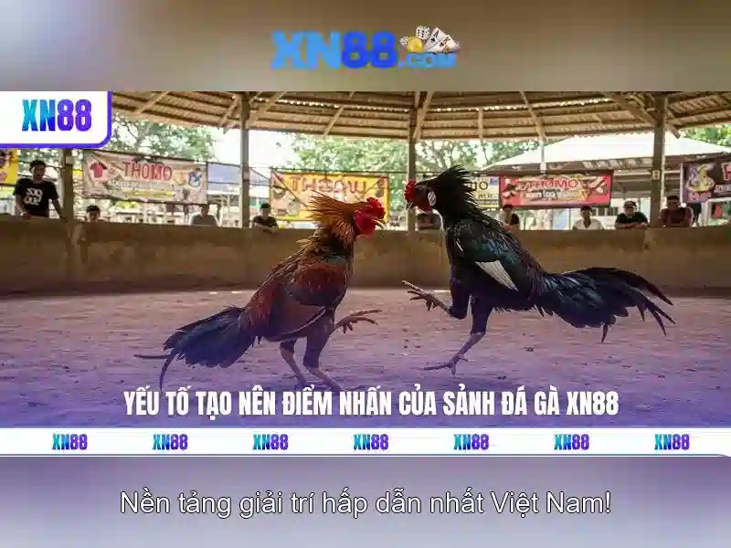 💎agen 888slot slot💎