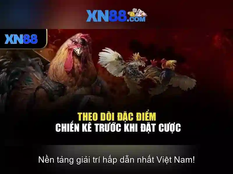 💎cá+cược+online💎
