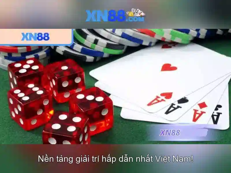 💎tang xn88💎