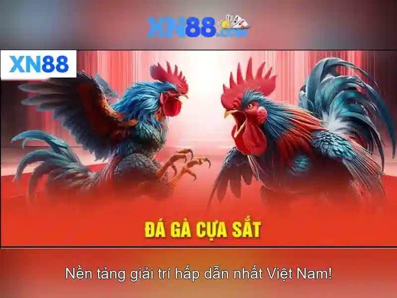 💎tỷ lệ cá cược olympic hôm nay💎