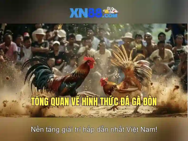  Thể Thao - XN88