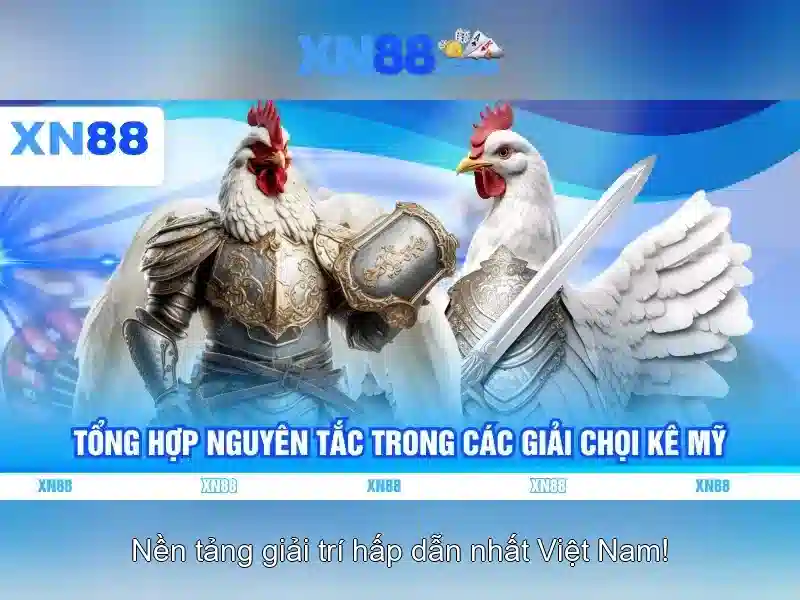 💎ti li ca cuoc hom nay💎