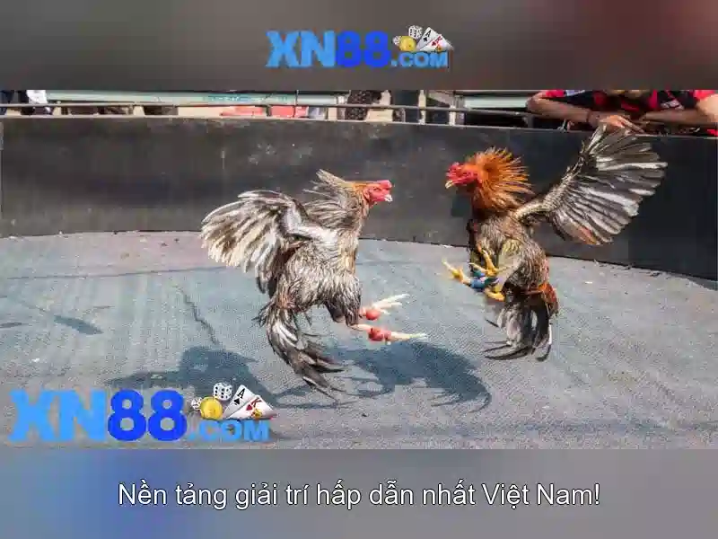 💎hb88 slot pic💎