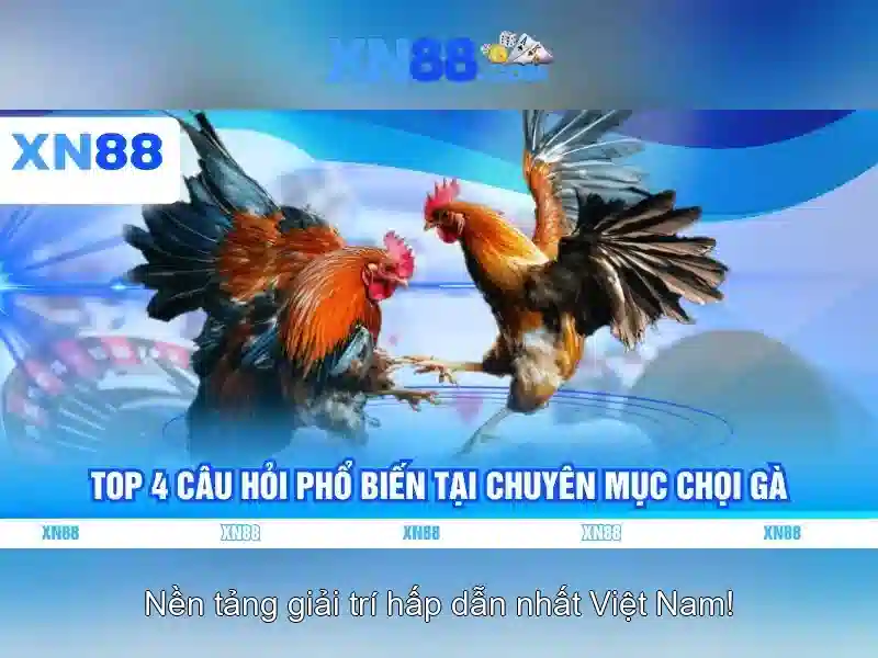 💎danh sách thi vòng 2 kho bạc nhà nước💎