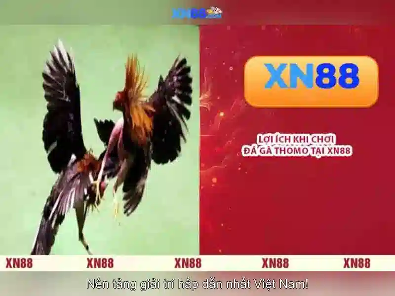 💎xem lại video bóng đá kèo nhà cái💎
