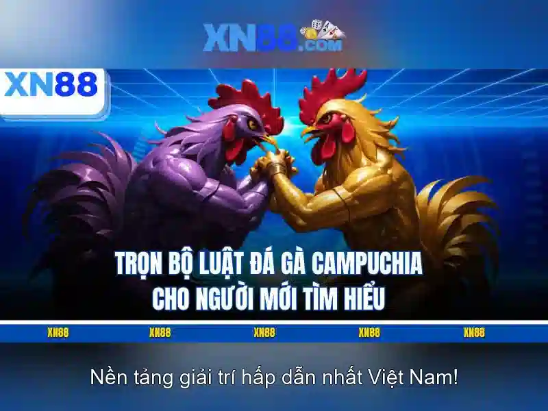 💎nha cai 888b.com💎