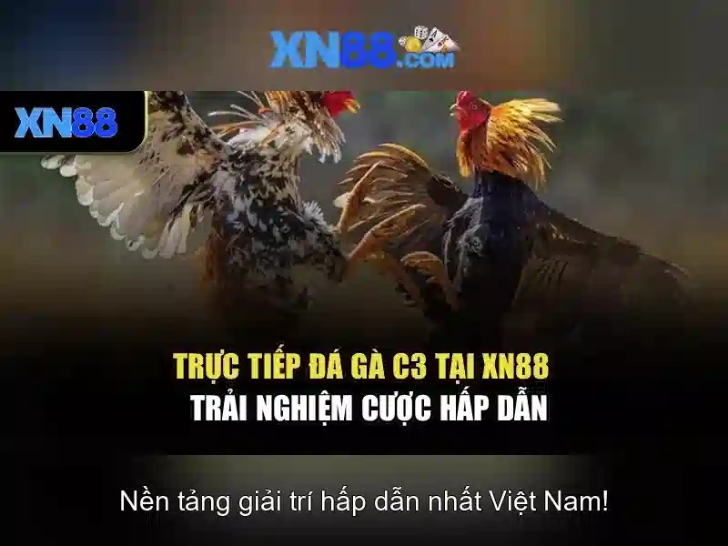 💎xem bóng đá kèo nhà cái💎