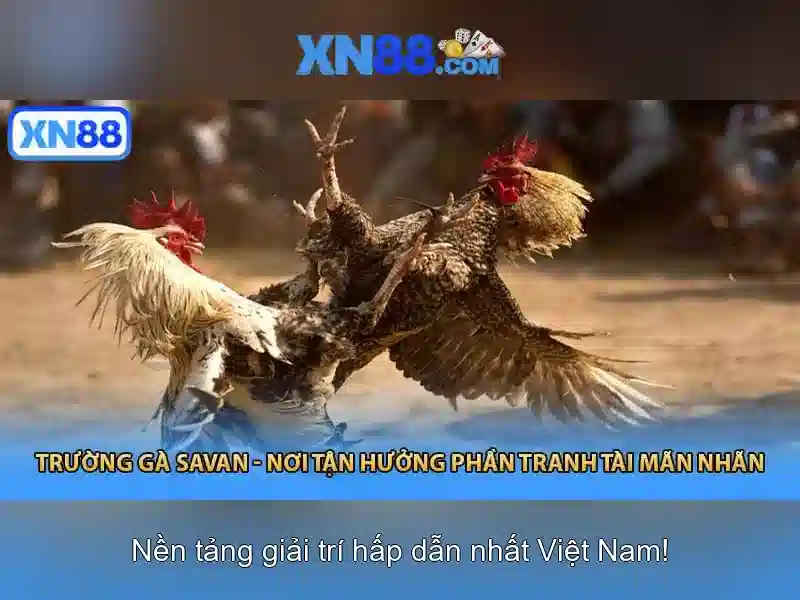 💎phim cuoc doi phat thich ca mau ni💎