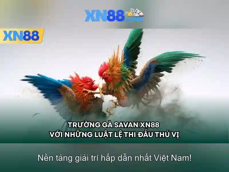 💎hướng dẫn cài csm click tại nhà💎