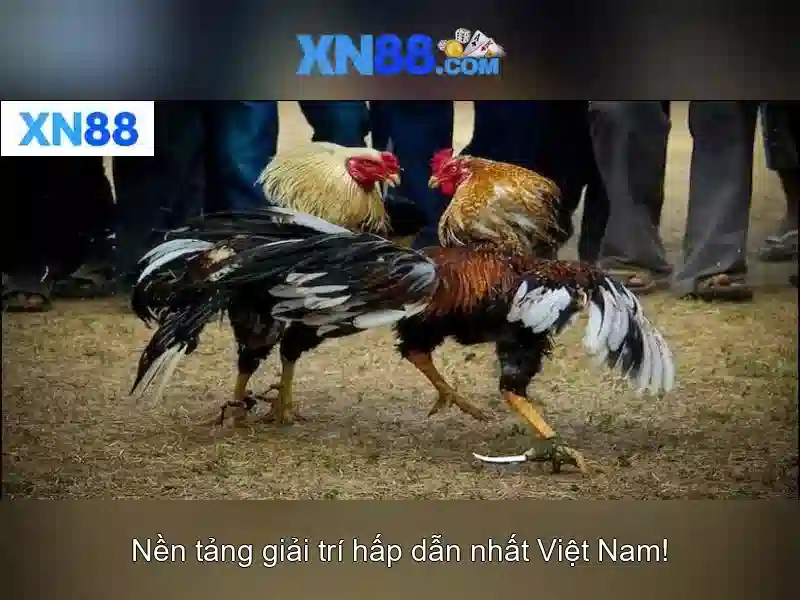 💎best online slots sites in pakistan💎