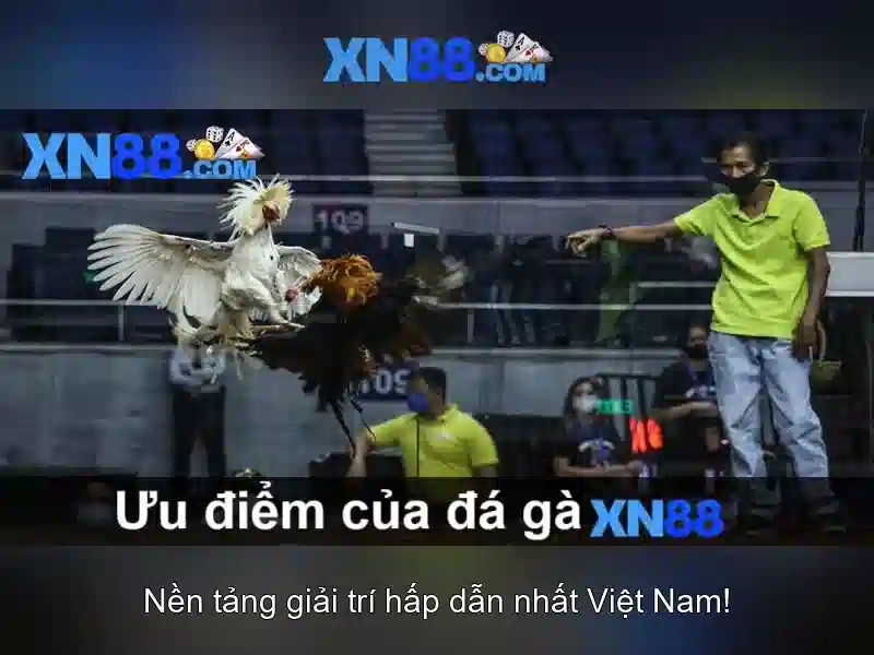 💎học viện cá cược live-action 2021💎