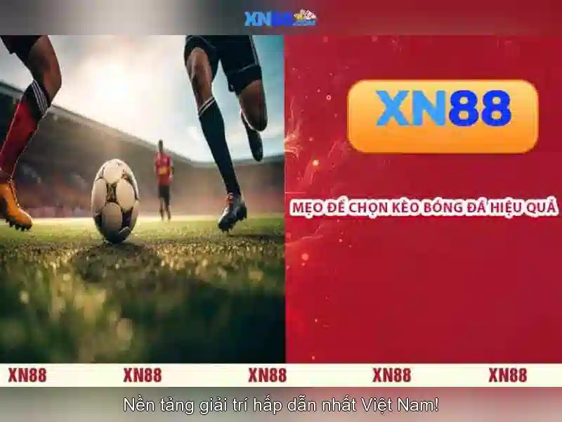 💎nha cái k8 uy tim💎