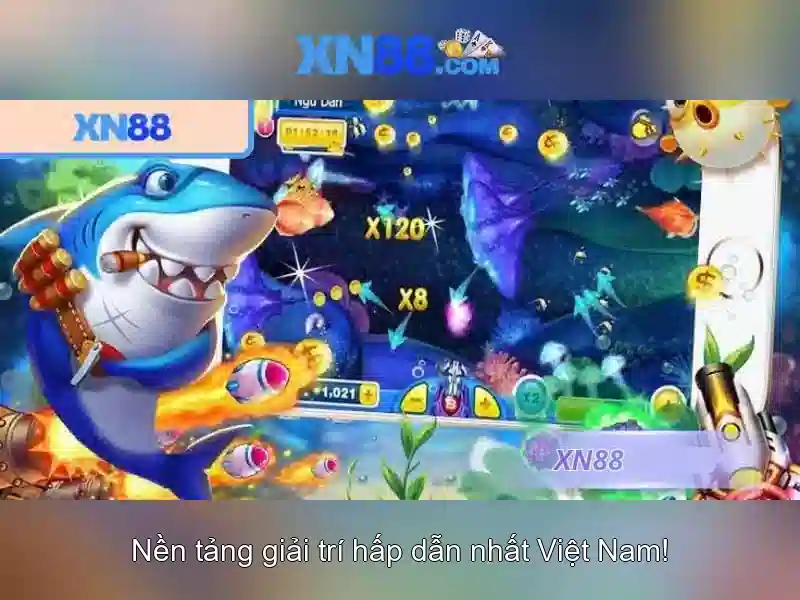 💎nha cai bong da aufop💎