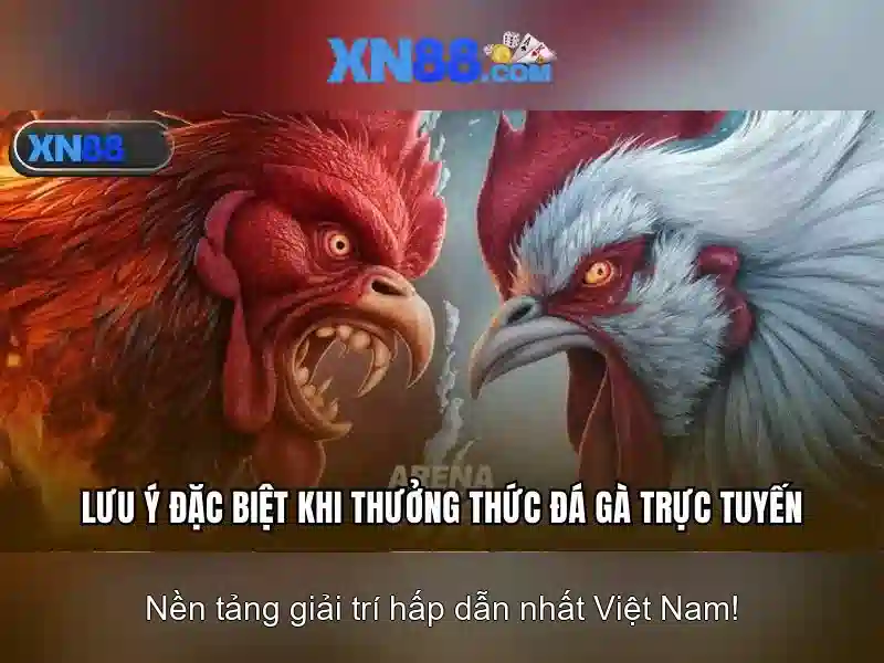 💎cá cược bao nhiêu bị phạt💎