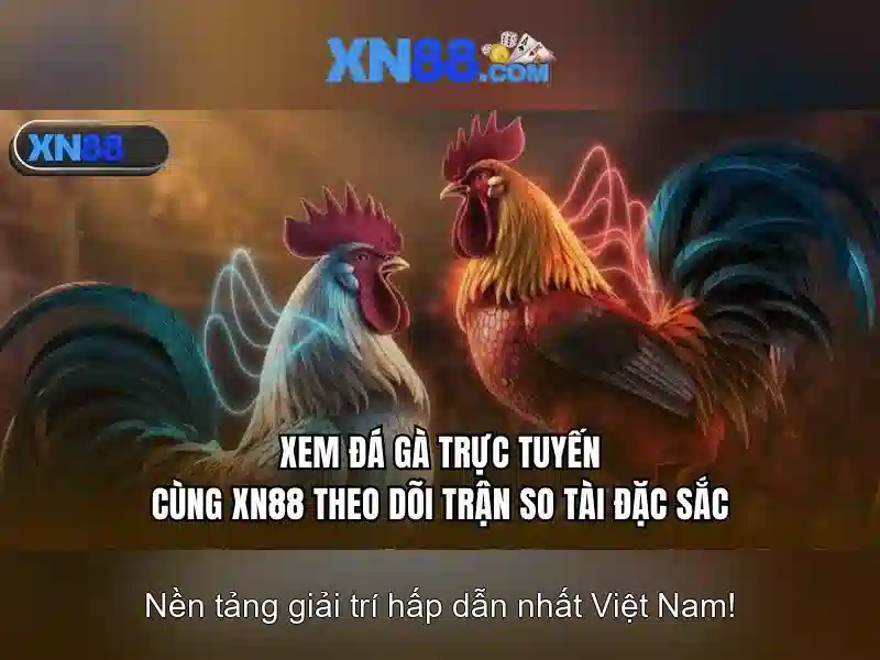 💎w19 nhà cái💎