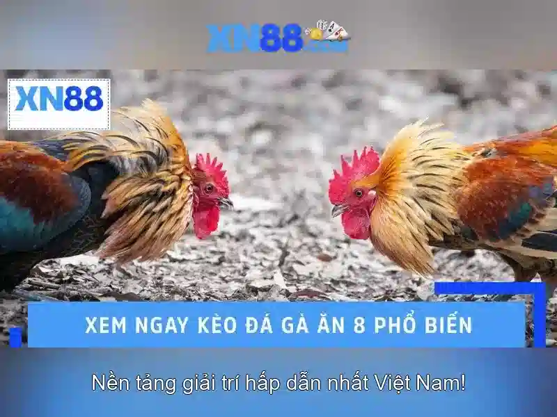 💎mybet88 slot💎