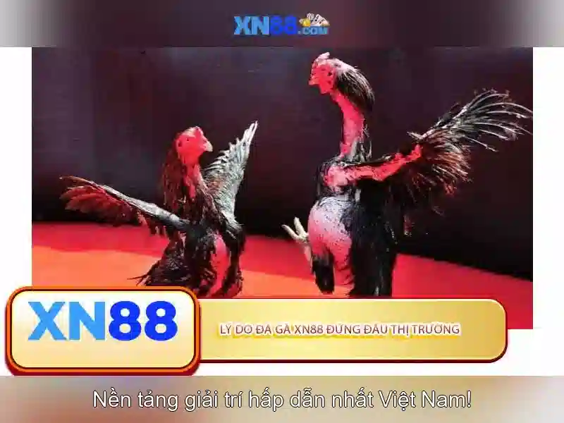 💎kèo cá cược bóng đá đông nam á💎