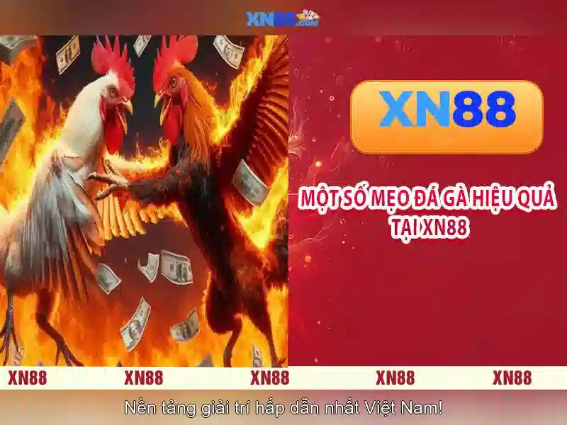 💎kèo nhà cái 5.black💎