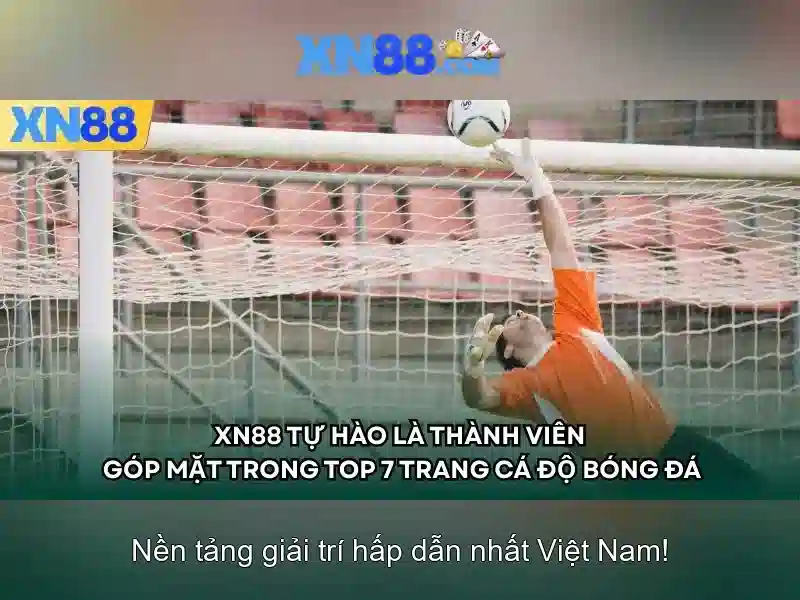 💎dự đoán bóng đá nhà cái💎