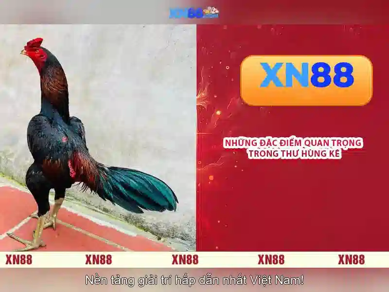 💎đánh bạc online kiếm tiền💎