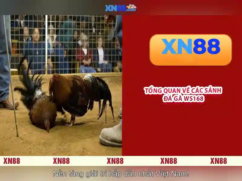 💎888slot 999 casino💎