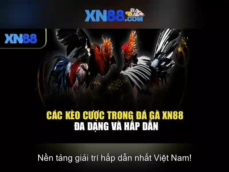 💎nha cai s666💎 - s666 nhà cái vegas - s666 sân chơi cá cược