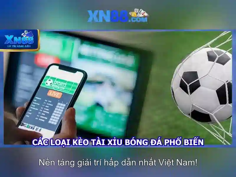 💎trang cá cược bóng đá winchestermas💎