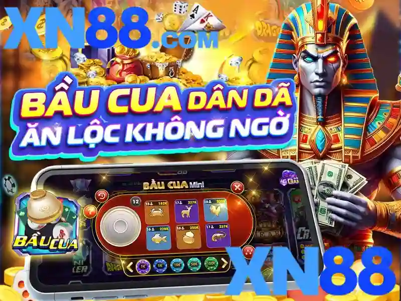  điều khoản cá cược - XN88